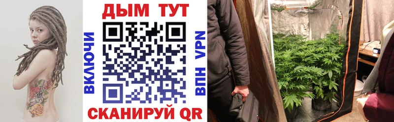 Купить закладки  Неман  Шишки марихуана сатива 